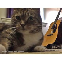 A Girl Like You - single